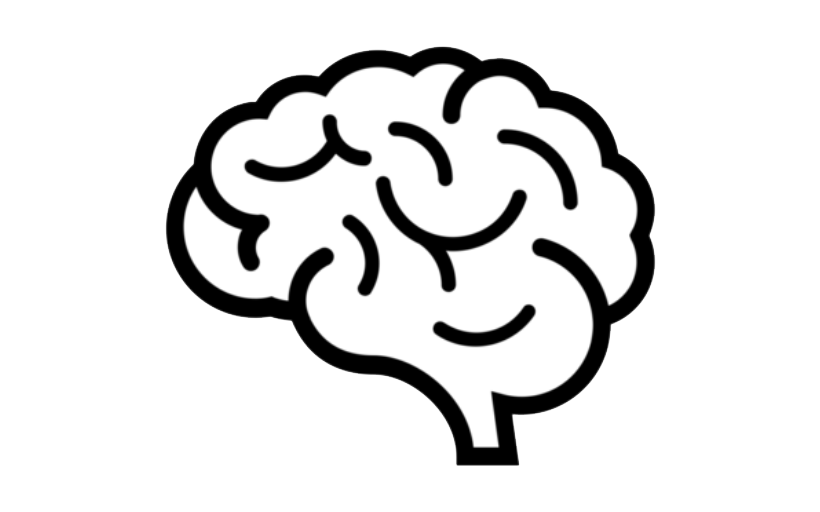Brain development product