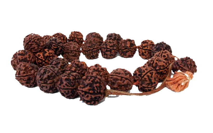 Rudraksh product
